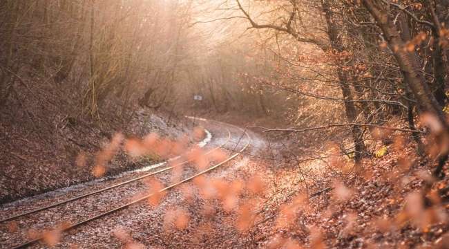 railroad-autumn